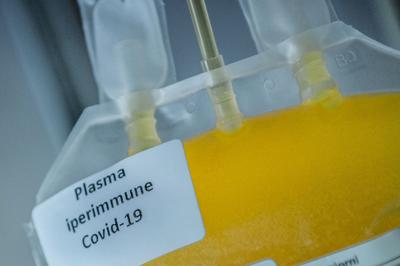 Coronavirus, esperti: “Serve subito banca del plasma da iperimmuni”  