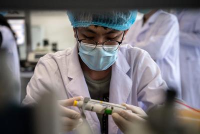 Cina, scoperto nuovo virus ‘con potenziale pandemico’ 