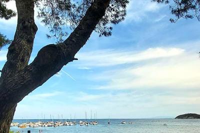 Piombino, cadono rocce alla Buca delle Fate: feriti padre e due figlie 